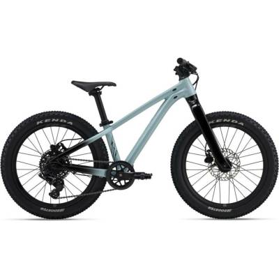 Giant STP 20 2026