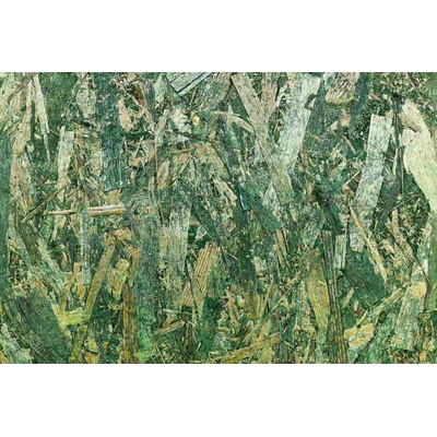 DIMEX ART Флизелинов фототапет зелена пдч 375 x 250 см