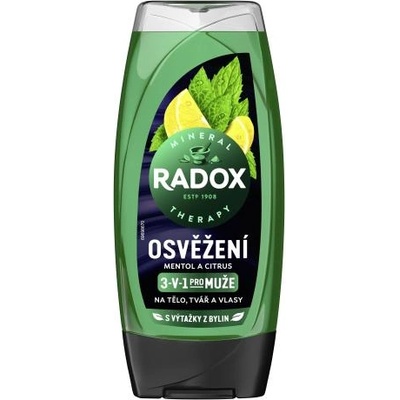Radox Refreshment Menthol And Citrus 3-in-1 Shower Gel освежаващ душ гел 225 ml за мъже