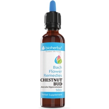 Bioherba Drops Bach Flower Remedies Chestnut Bud | Aesculus Hippocastanum [50 мл]