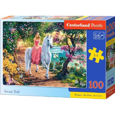 Castorland premium Tajná stezka princezna s jednorožcem 100 dielov