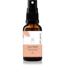 Kindgesund Learn Well Spray bytový sprej pro děti 30 ml