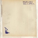Down in Albion Babyshambles CD