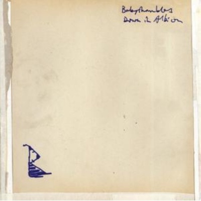 Down in Albion Babyshambles CD