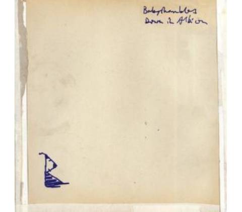 Down in Albion Babyshambles CD