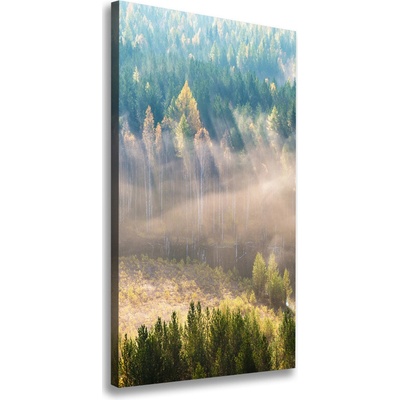 Vertikálny fotoobraz fotografie na plátne Hmla nad lesom 50x100 cm