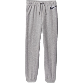 GAP V-frch heritage logo xl