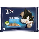 Felix Fantastic s lososem a platýsem v želé 48 x 85 g