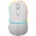 CANYON MW-22 (CNS-CMSW22SW)