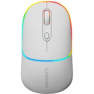 CANYON MW-22 (CNS-CMSW22SW)