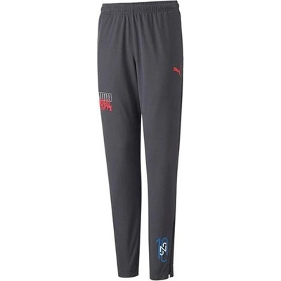 Puma NJR Trainingshose Kids Schwarz F07