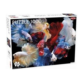 TACTIC Puzzles 1000 Animals: Fighting Fish
