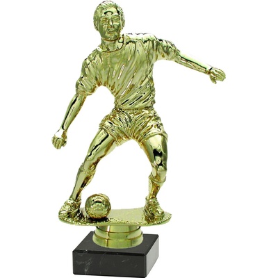 Pohár fotbalista