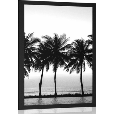 Plakát západ slunce nad palmami v černobílém provedení - 20x30 white