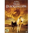 The Young Black Stallion DVD