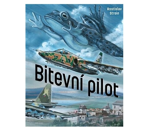 Bitevní pilot - Stroin Rostislav