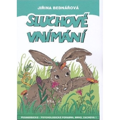 Sluchové vnímání