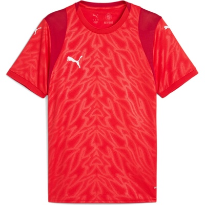 Puma teamCUP Jersey 706272-01
