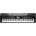 Kurzweil KA120