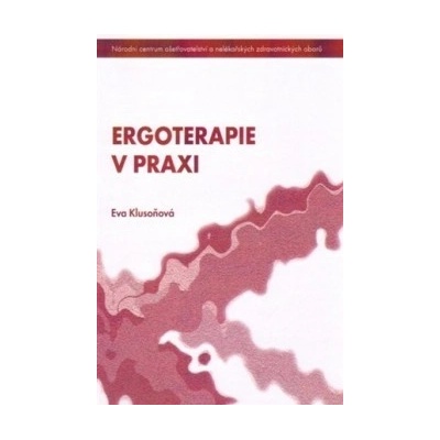 Ergoterapie v praxi
