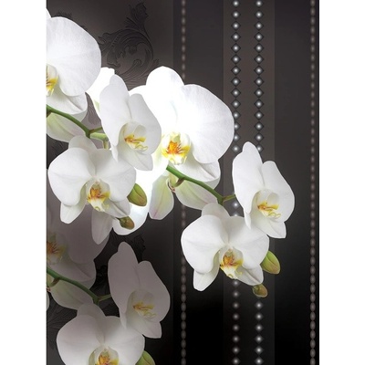 Preinterier Fototapeta panel - PL0120 - Biele kvety vlies - 206cm x 275cm