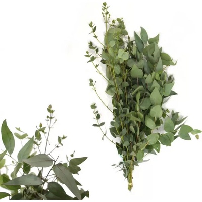 Eukalyptus mix 65 cm / 300 g
