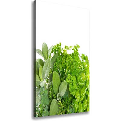 Vertikálny foto obraz tlačený na plátne Bylinky 50x100 cm