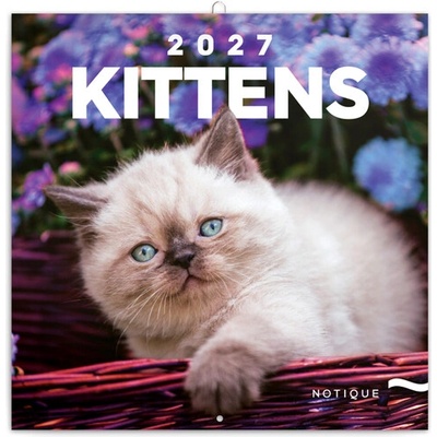 Poznámkový Koťata nástěnný 2027