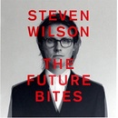 Steven Wilson Future Bites LP