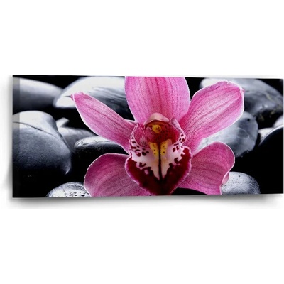 Sablio Obraz Ružová orchidea - 110x50 cm