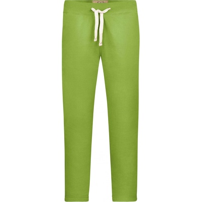 James & Nicholson pánské tepláky Vintage pants zelená