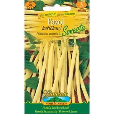 Nohel Garden Fazuľa kríčková SONESTA, žltá