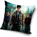 Carbotex Harry Potter HP203022 40 x 40 cm