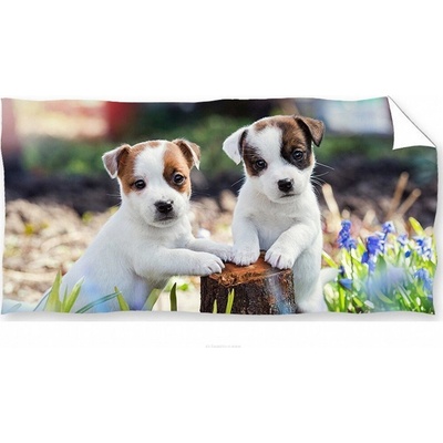 Carbotex dětská osuška 70 × 140 cm Bráškové Jack Russell Teriér