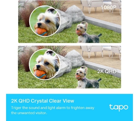 TP-Link Tapo C420