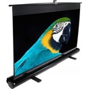 Elite Screens 150,1 x 266,7cm F120NWH