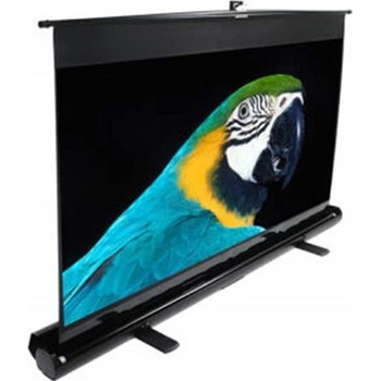 Elite Screens 150,1 x 266,7cm F120NWH