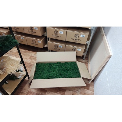 Stabilizovaný mach – sobí - lišajník – Reindeer moss - tmavo zelený - celé balenie 5kg