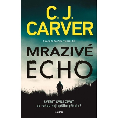 Mrazivá ozvěna - C. J. Carverová