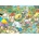 Jumbo - Puzzle Jan van Haasteren: Camping in the Forest II - 1 000 piese