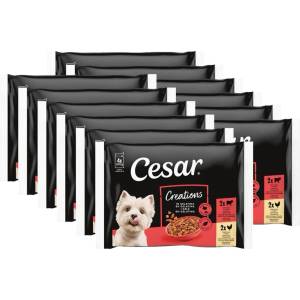 Cesar Creations паучове с говеждо и пилешко в желе 12 x (4x100 g)