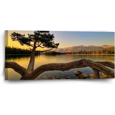 Sablio Obraz Strom pri jazere - 110x50 cm