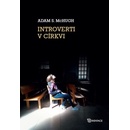 Introverti v církvi