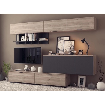 Холна секция Era