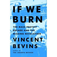 If We Burn: The Mass Protest Decade and the Missing Revolution