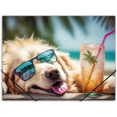 Panta Plast Гумена папка, 15 мм, PP, A4, PANTA PLAST, "Chillout dog" 0410-0064-53 (0410-0064-53)