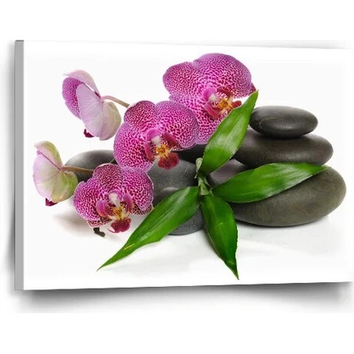Sablio Obraz Orchidea a kamene - 60x40 cm