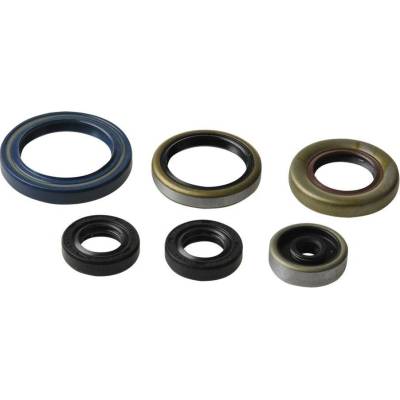 Sada gufer motoru ATHENA P400270400013