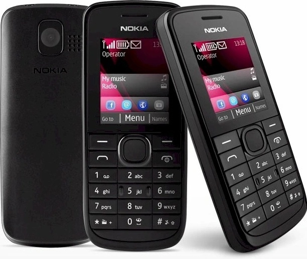 Nokia 113