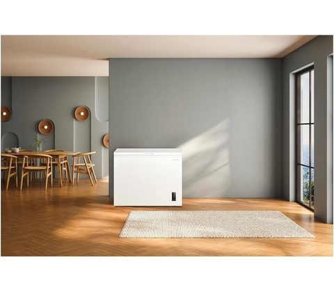 PHILCO PCF 249 EFPI
